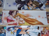 june-2007-ikki-tousen-promo-posters