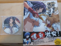 ikki-tousen-gg-artbook